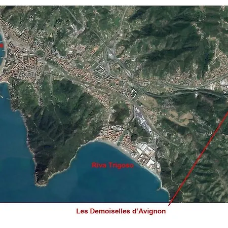 Les Demoiselles D'avignon