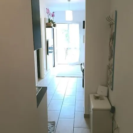 Les Demoiselles D'avignon Appartement
